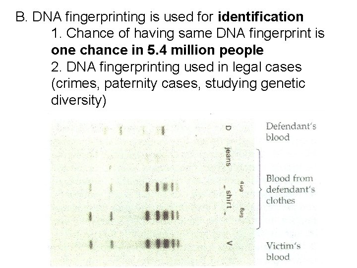 B. DNA fingerprinting is used for identification 1. Chance of having same DNA fingerprint