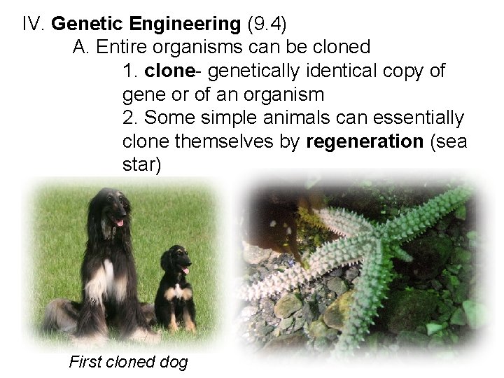 IV. Genetic Engineering (9. 4) A. Entire organisms can be cloned 1. clone- genetically