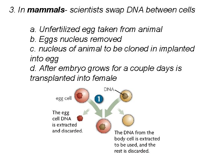 3. In mammals- scientists swap DNA between cells a. Unfertilized egg taken from animal