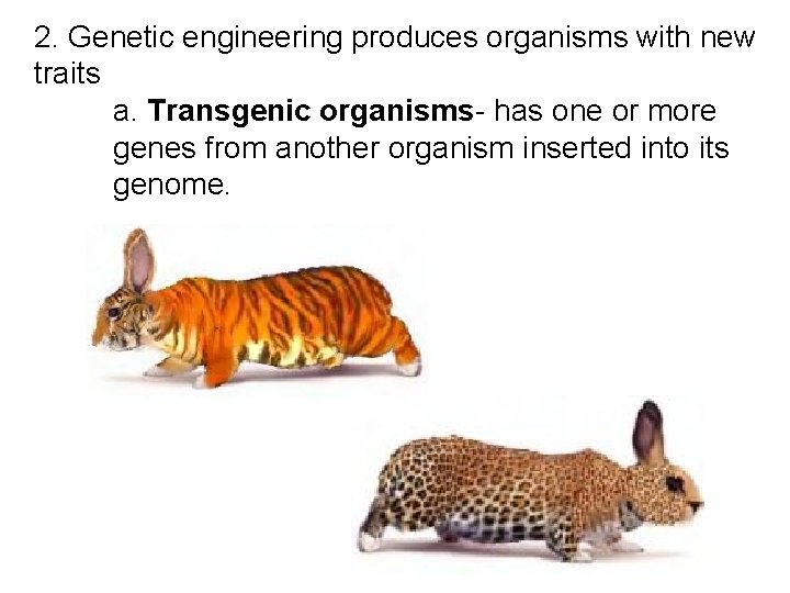 2. Genetic engineering produces organisms with new traits a. Transgenic organisms- has one or