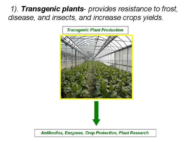 1). Transgenic plants- provides resistance to frost, disease, and insects, and increase crops 1). Transgenic plants- provides resistance to frost, disease, and insects, and increase crops
