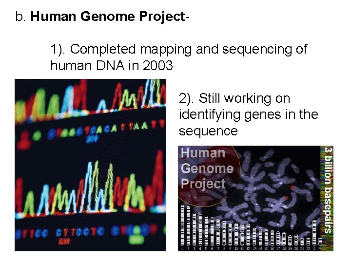 b. Human Genome Project- 1). Completed mapping and sequencing of human DNA in 2003 b. Human Genome Project- 1). Completed mapping and sequencing of human DNA in 2003
