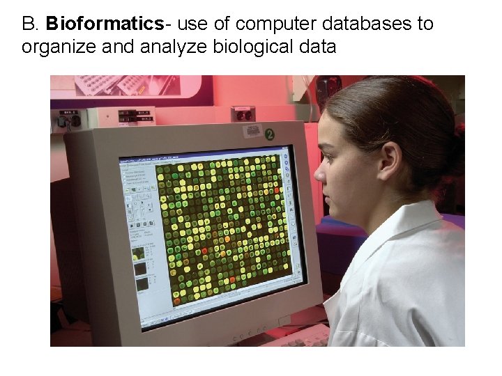 B. Bioformatics- use of computer databases to organize and analyze biological data B. Bioformatics- use of computer databases to organize and analyze biological data