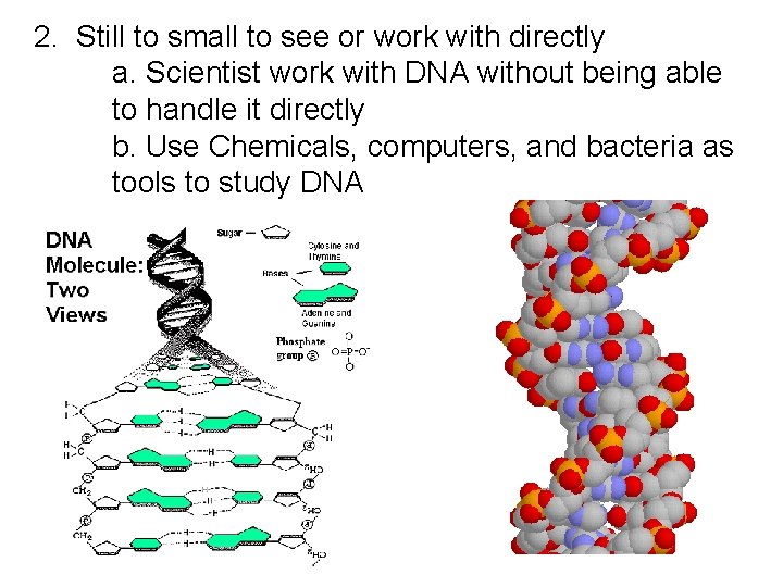 2. Still to small to see or work with directly a. Scientist work with