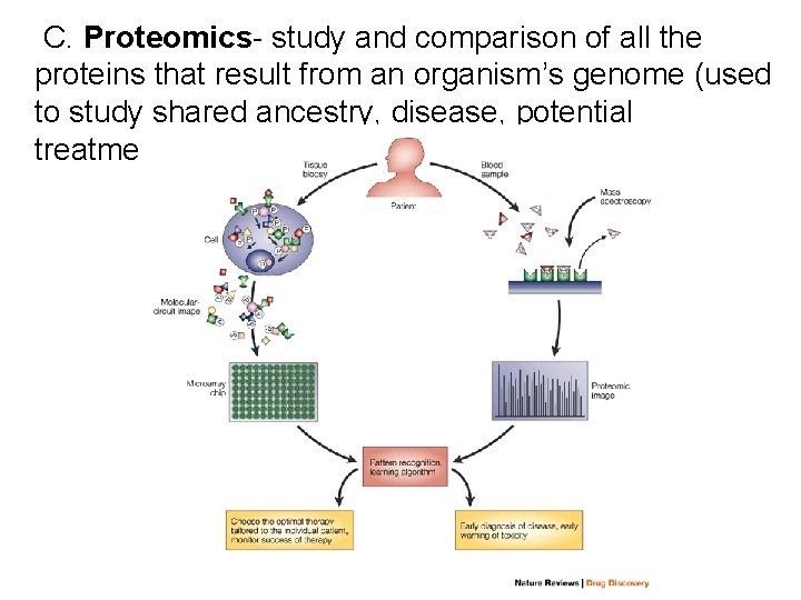  C. Proteomics- study and comparison of all the proteins that result from an