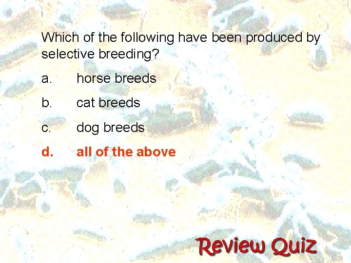 Which of the following have been produced by selective breeding? a. horse breeds b.