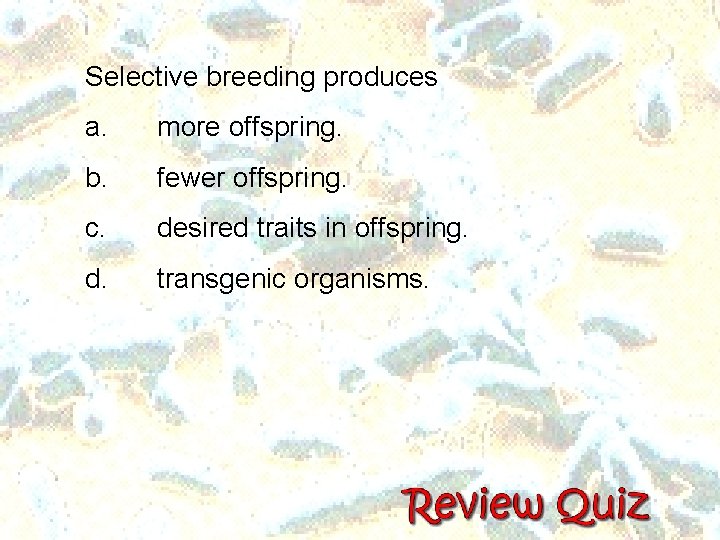 Selective breeding produces a. more offspring. b. fewer offspring. c. desired traits in offspring.