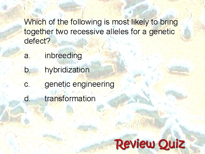 Which of the following is most likely to bring together two recessive alleles for Which of the following is most likely to bring together two recessive alleles for