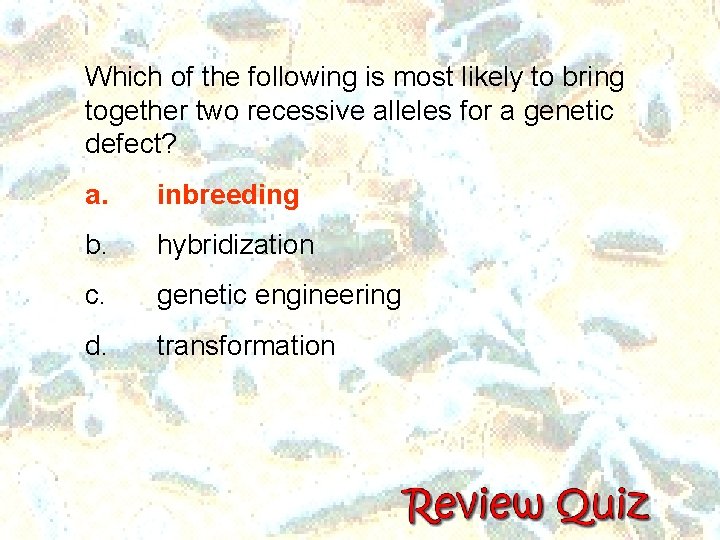 Which of the following is most likely to bring together two recessive alleles for