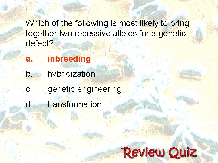 Which of the following is most likely to bring together two recessive alleles for Which of the following is most likely to bring together two recessive alleles for