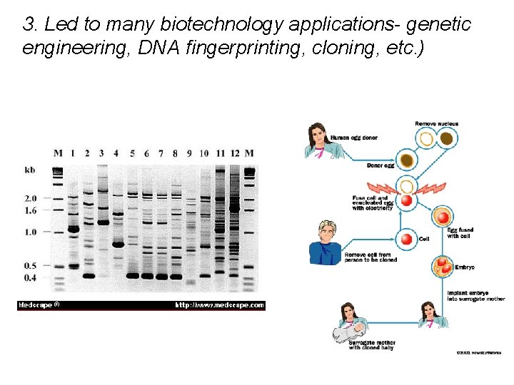 3. Led to many biotechnology applications- genetic engineering, DNA fingerprinting, cloning, etc. ) 3. Led to many biotechnology applications- genetic engineering, DNA fingerprinting, cloning, etc. )