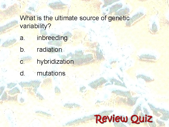 What is the ultimate source of genetic variability? a. inbreeding b. radiation c. hybridization What is the ultimate source of genetic variability? a. inbreeding b. radiation c. hybridization
