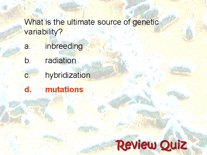 What is the ultimate source of genetic variability? a. inbreeding b. radiation c. hybridization