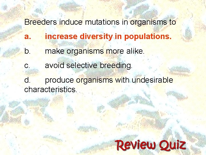 Breeders induce mutations in organisms to a. increase diversity in populations. b. make organisms Breeders induce mutations in organisms to a. increase diversity in populations. b. make organisms
