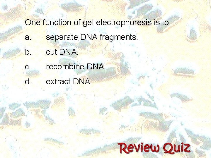 One function of gel electrophoresis is to a. separate DNA fragments. b. cut DNA.