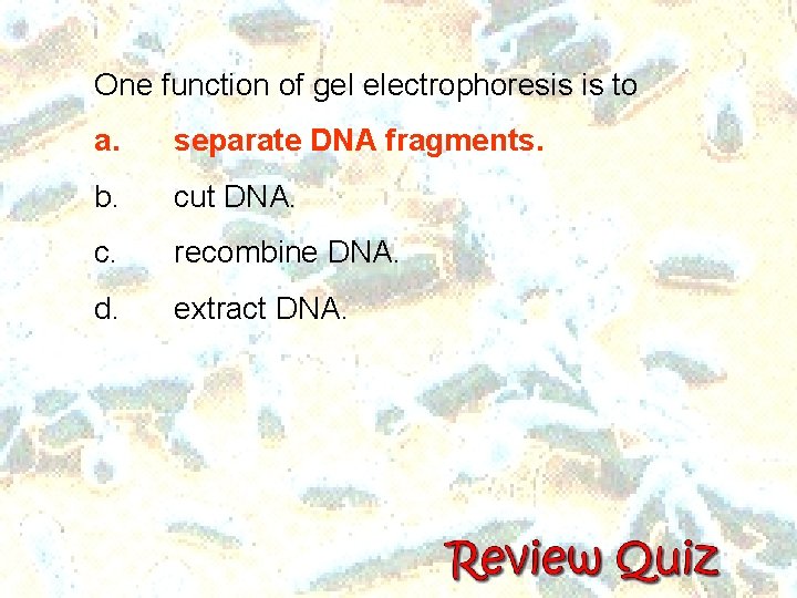 One function of gel electrophoresis is to a. separate DNA fragments. b. cut DNA.