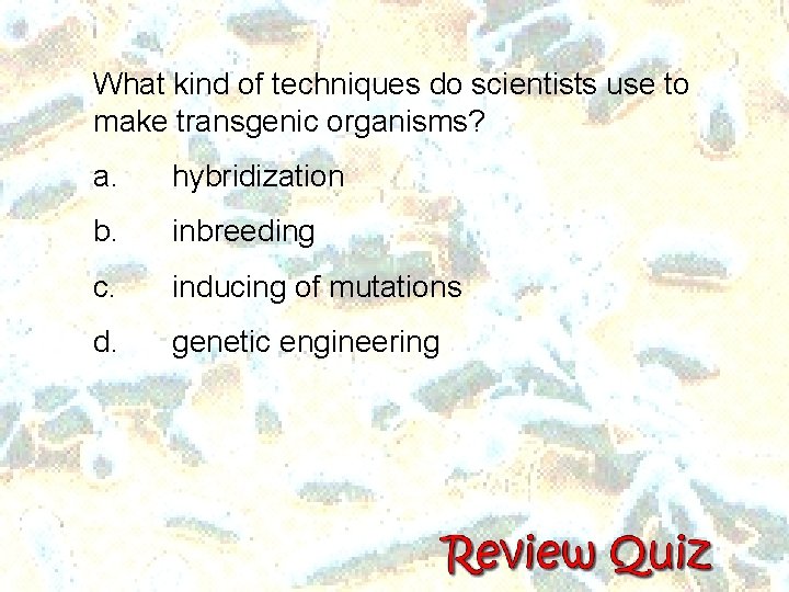 What kind of techniques do scientists use to make transgenic organisms? a. hybridization b. What kind of techniques do scientists use to make transgenic organisms? a. hybridization b.