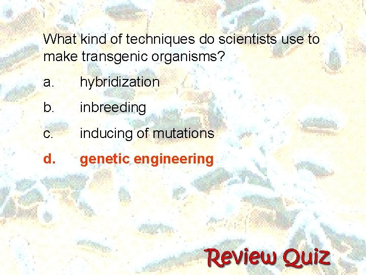 What kind of techniques do scientists use to make transgenic organisms? a. hybridization b. What kind of techniques do scientists use to make transgenic organisms? a. hybridization b.