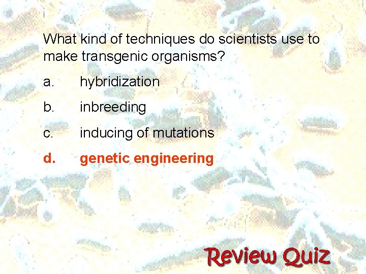 What kind of techniques do scientists use to make transgenic organisms? a. hybridization b.