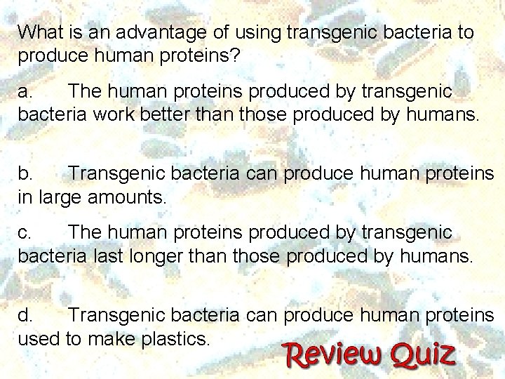 What is an advantage of using transgenic bacteria to produce human proteins? a. The What is an advantage of using transgenic bacteria to produce human proteins? a. The