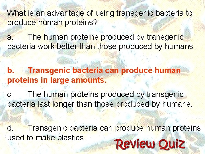 What is an advantage of using transgenic bacteria to produce human proteins? a. The What is an advantage of using transgenic bacteria to produce human proteins? a. The