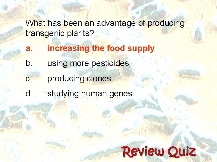What has been an advantage of producing transgenic plants? a. increasing the food supply What has been an advantage of producing transgenic plants? a. increasing the food supply