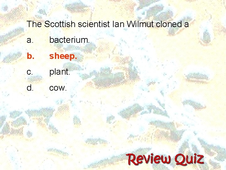 The Scottish scientist Ian Wilmut cloned a a. bacterium. b. sheep. c. plant. d. The Scottish scientist Ian Wilmut cloned a a. bacterium. b. sheep. c. plant. d.