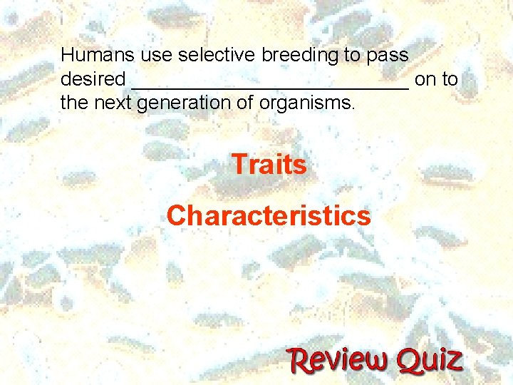 Humans use selective breeding to pass desired _____________ on to the next generation of Humans use selective breeding to pass desired _____________ on to the next generation of