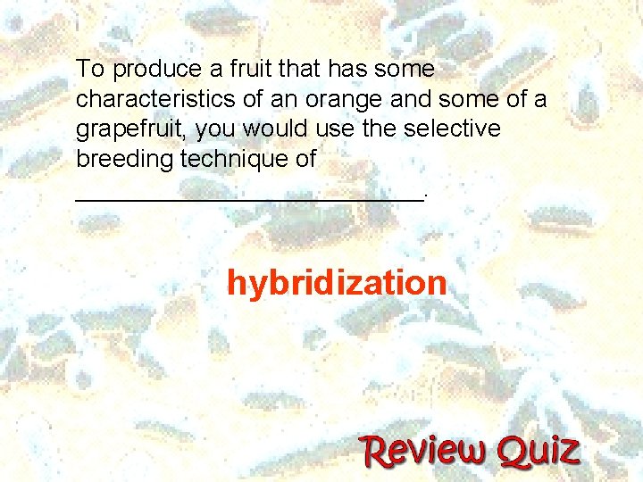 To produce a fruit that has some characteristics of an orange and some of To produce a fruit that has some characteristics of an orange and some of