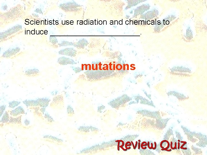 Scientists use radiation and chemicals to induce __________. mutations Scientists use radiation and chemicals to induce __________. mutations