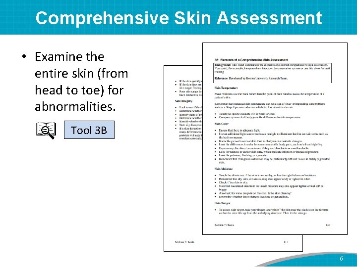 Comprehensive Skin Assessment • Examine the entire skin (from head to toe) for abnormalities.