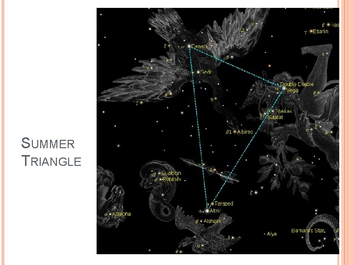 SUMMER TRIANGLE 