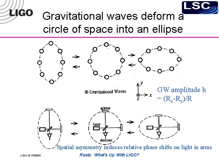 Gravitational waves deform a circle of space into an ellipse GW amplitude h =