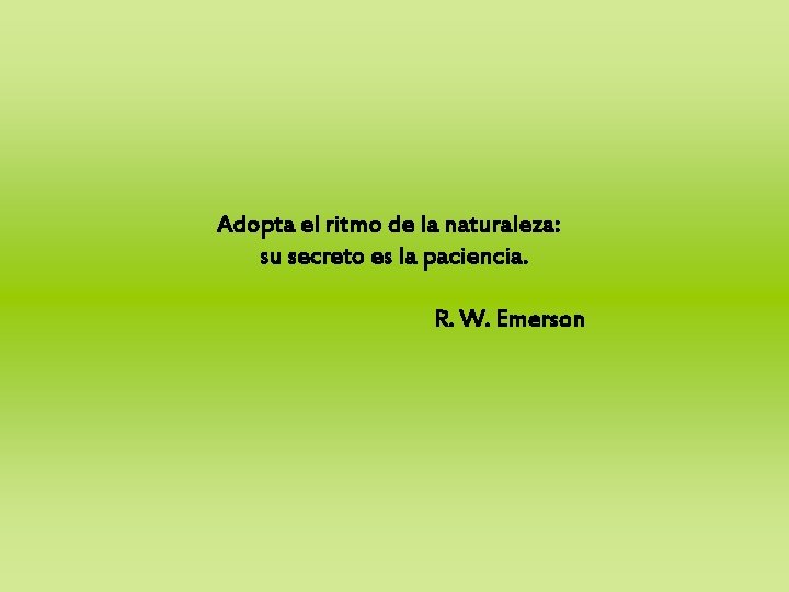 Adopta el ritmo de la naturaleza: su secreto es la paciencia. R. W. Emerson