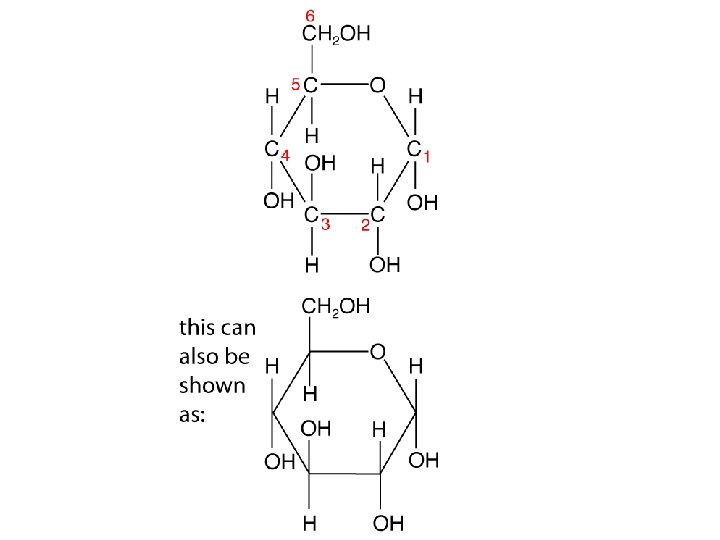 Carbohydrates Simple Sugars Learning Objectives Distinguish between