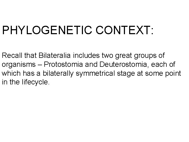 PHYLOGENETIC CONTEXT: Recall that Bilateralia includes two great groups of organisms – Protostomia and