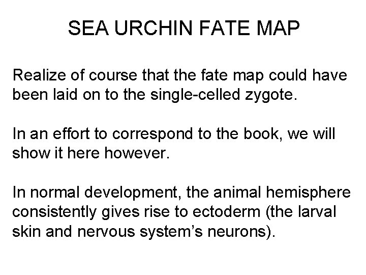 SEA URCHIN FATE MAP Realize of course that the fate map could have been