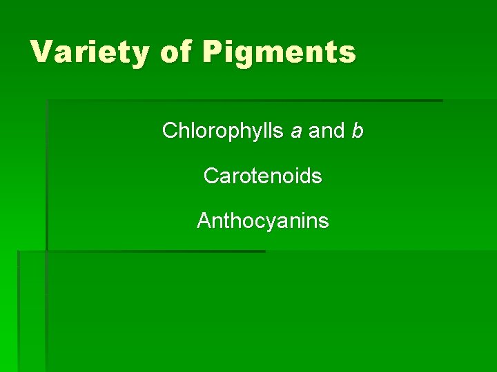 Variety of Pigments Chlorophylls a and b Carotenoids Anthocyanins 