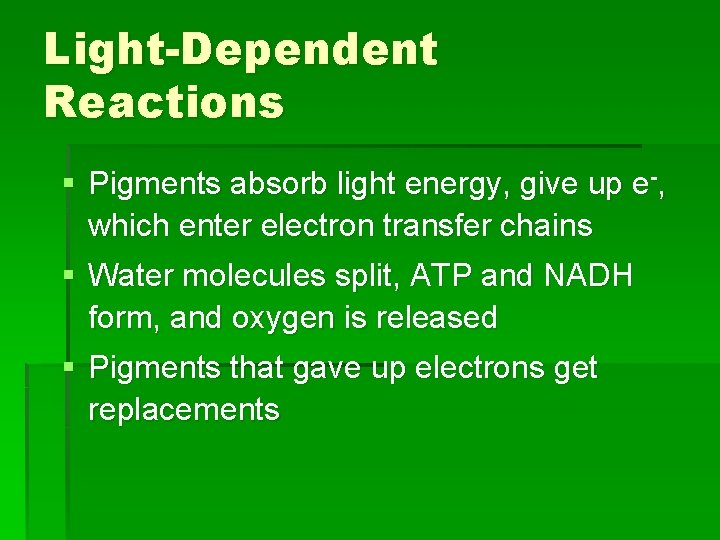 Light-Dependent Reactions § Pigments absorb light energy, give up e-, which enter electron transfer