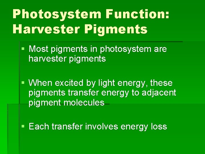 Photosystem Function: Harvester Pigments § Most pigments in photosystem are harvester pigments § When