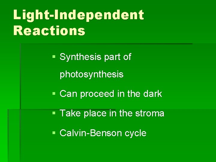 Light-Independent Reactions § Synthesis part of photosynthesis § Can proceed in the dark §