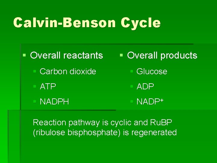 Calvin-Benson Cycle § Overall reactants § Overall products § Carbon dioxide § Glucose §