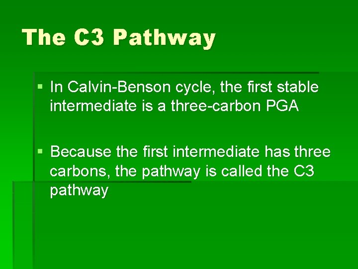 The C 3 Pathway § In Calvin-Benson cycle, the first stable intermediate is a