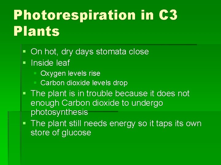 Photorespiration in C 3 Plants § On hot, dry days stomata close § Inside