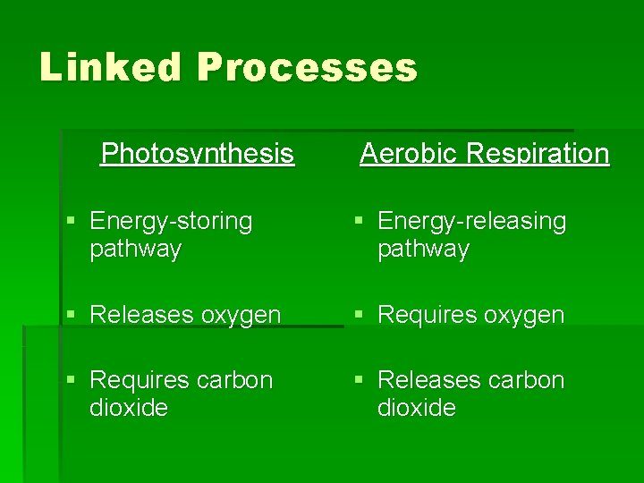 Linked Processes Photosynthesis Aerobic Respiration § Energy-storing pathway § Energy-releasing pathway § Releases oxygen