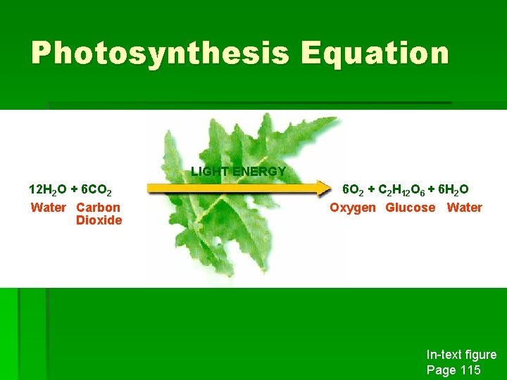 Photosynthesis Equation LIGHT ENERGY 12 H 2 O + 6 CO 2 Water Carbon