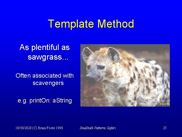 Template Method As plentiful as sawgrass. . . Often associated with scavengers e. g.