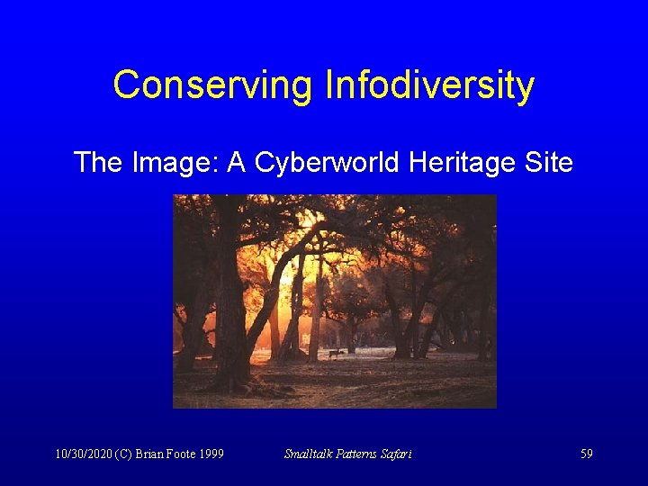 Conserving Infodiversity The Image: A Cyberworld Heritage Site 10/30/2020 (C) Brian Foote 1999 Smalltalk