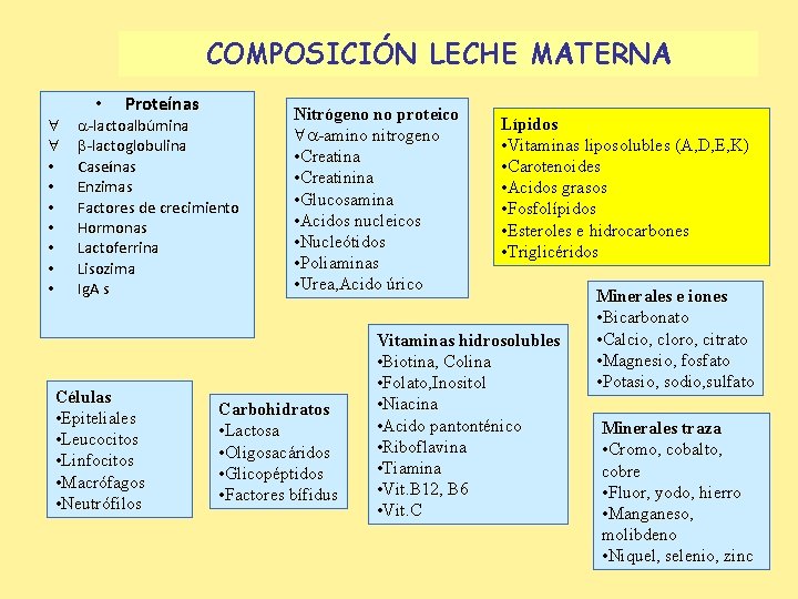 COMPOSICIÓN LECHE MATERNA • • Proteínas -lactoalbúmina -lactoglobulina Caseínas Enzimas Factores de crecimiento Hormonas