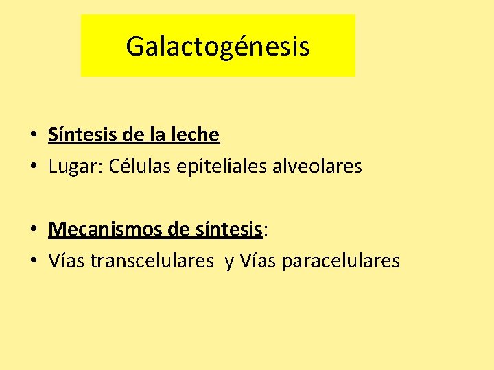 Galactogénesis • Síntesis de la leche • Lugar: Células epiteliales alveolares • Mecanismos de